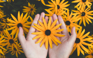 Emotional & Psychiatric Enlighten with acupuncture