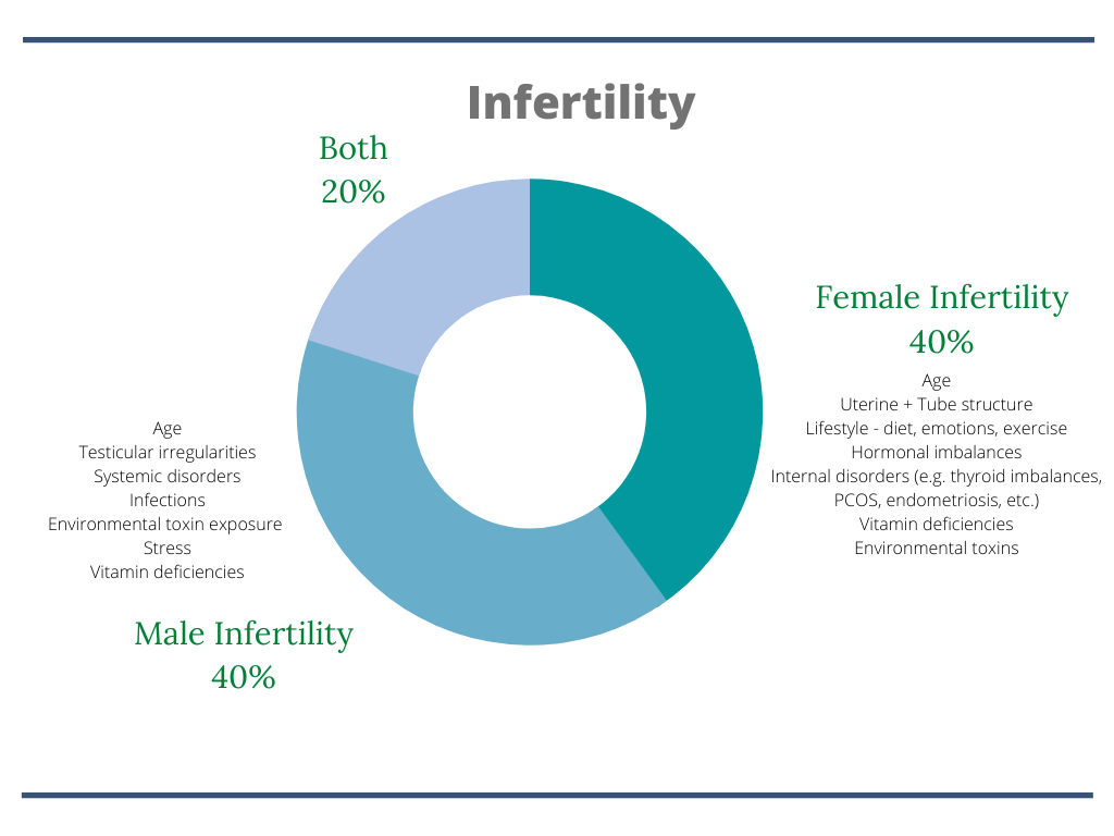 factors-contributing-fertility-health