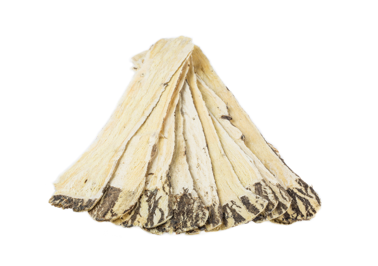 Astragalus for Myasthenia Gravis